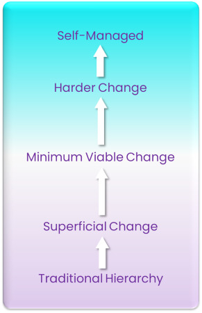 Sriram Narayan - Graph 1 - Superficial Change